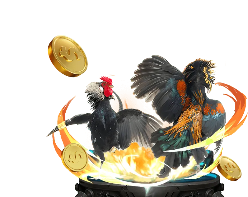 Chương trình VIP viva88